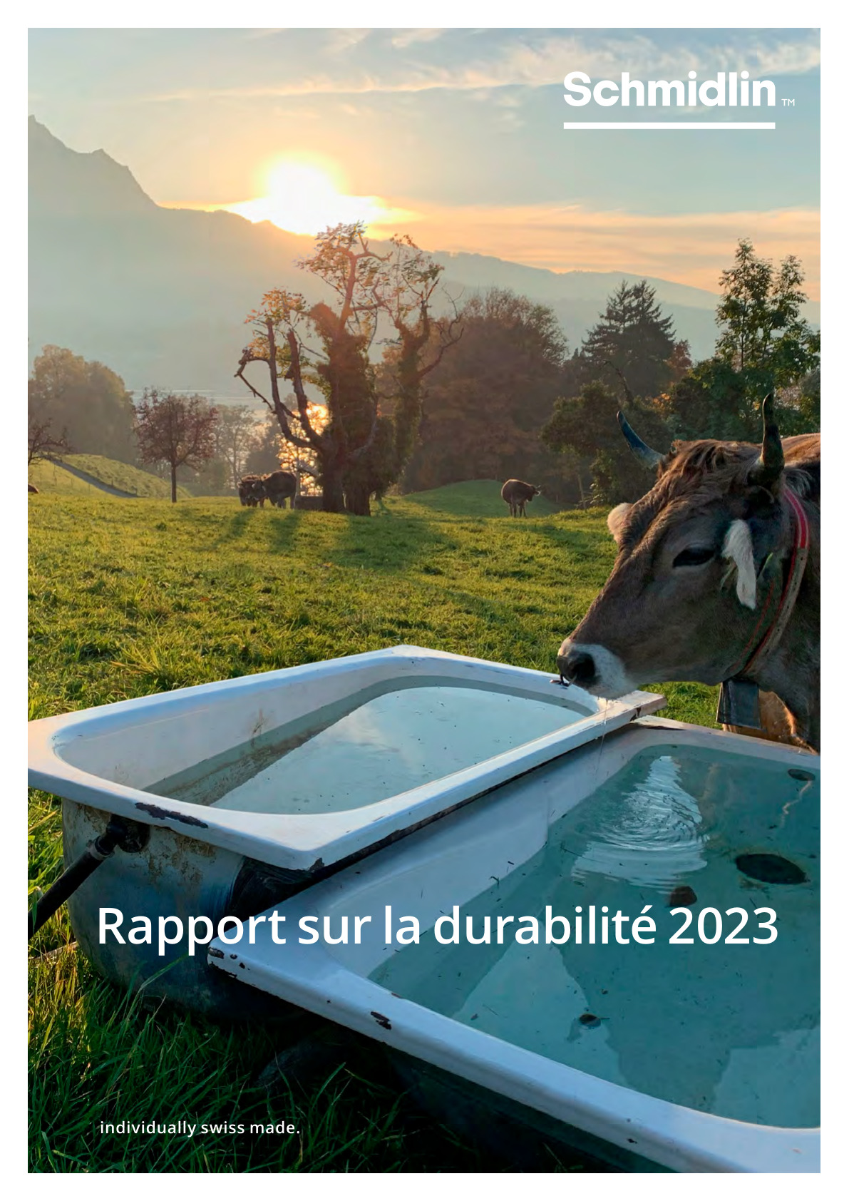 Schmidlin Rapport sur la durabilité